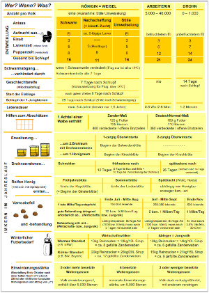 Vorschau 'Wer? Wann? Was? / Bienendaten'